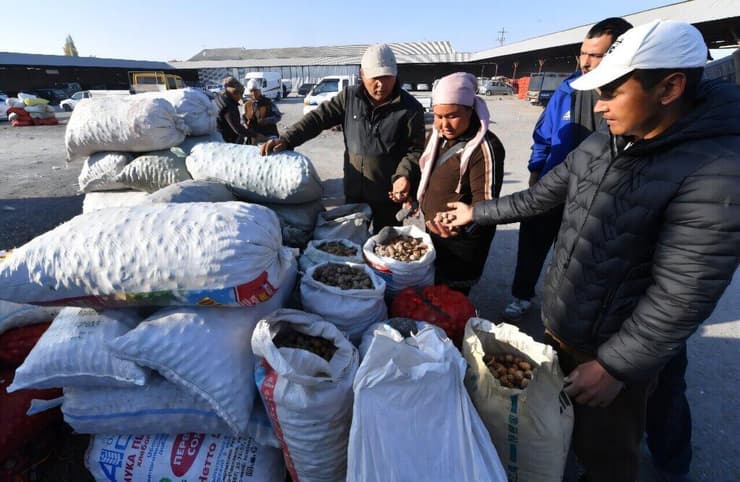 מכירת אגוזי מלך בשוק של העיירה ארסלבוב