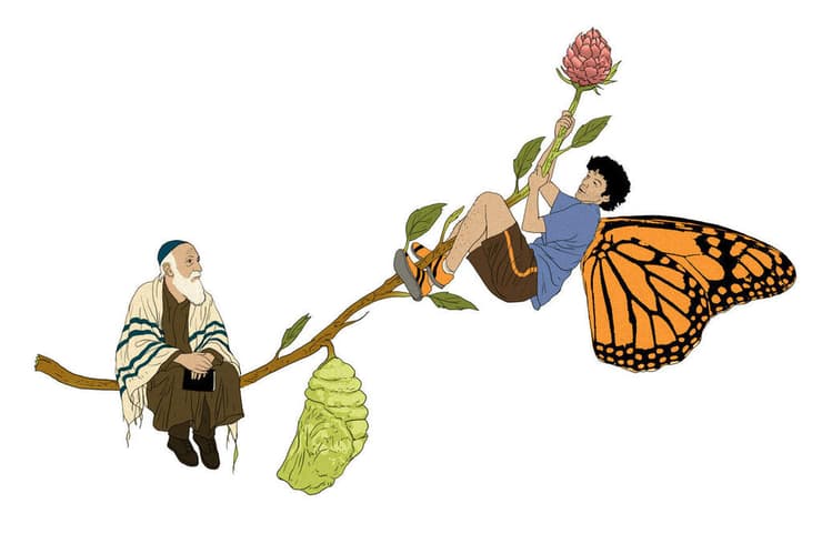 איור: יזהר כהן