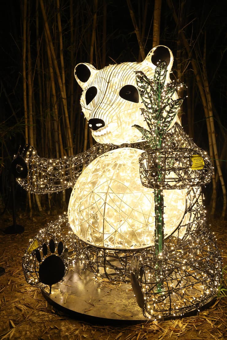 פסטיבל האור הבינלאומי LUMAGICA