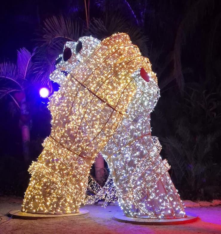 פסטיבל האור הבינלאומי LUMAGICA