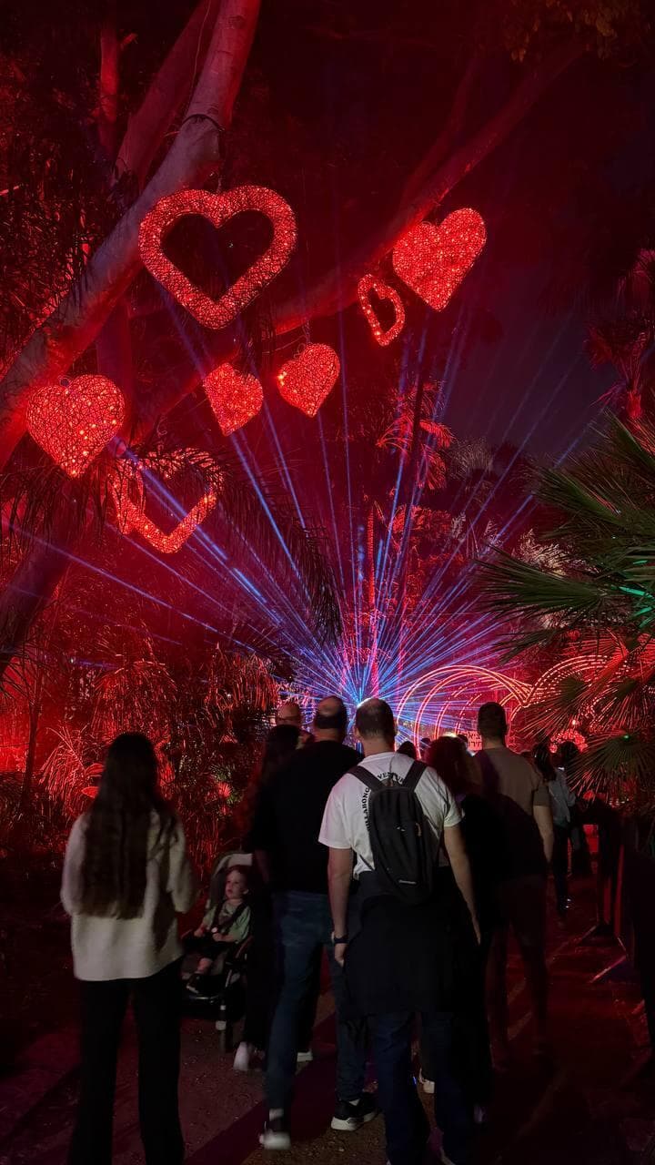 פסטיבל האור הבינלאומי LUMAGICA