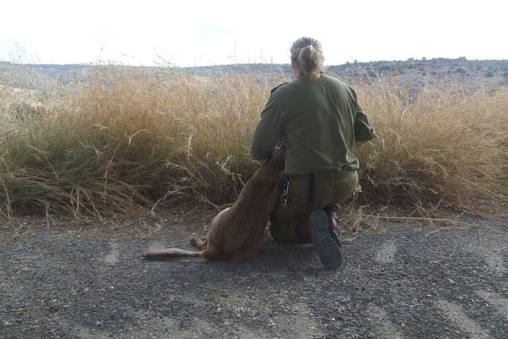 ליה להבי עם הכלב