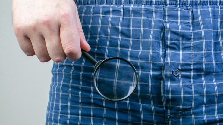 פין קטן מיקרופניס מיקרו-פין