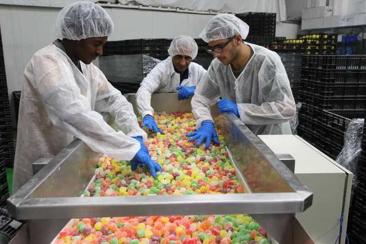 מפעל טופ גאם בשדרות