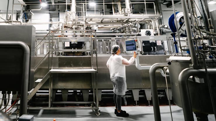 מפעל טופ גאם