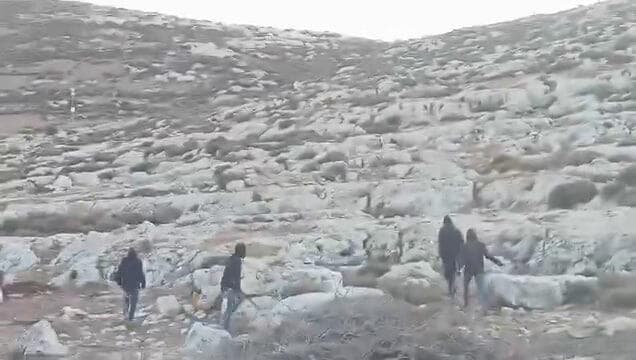 תיעוד: מתנחלים תוקפים פלסטינים בקהילת חלת אל-סדרה הבדואית במוחמאס, בצפון‑מזרח ירושלים