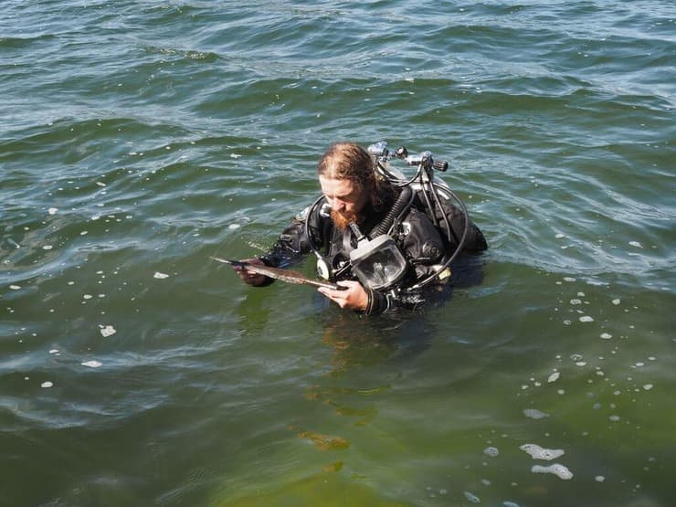 אחד מחברי צוות המחקר של אוניברסיטת ניקולאוס קופרניקוס בטורון, בעודו אוחז באחד מראשי החניתות שנמצאו בקרקעית אגם לדניצה בפולין