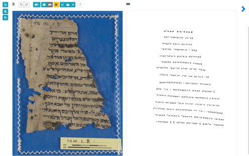 הצגת התעתוק האוטומטי לצד הדף