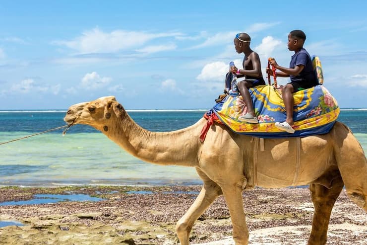 חוף דיאני, מומבסה (צילום: Nataliya Derkach / shutterstock) חוף דיאני, מומבסה