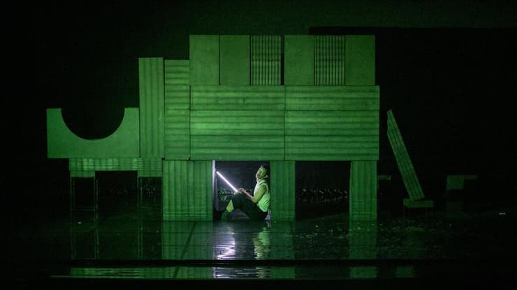 מתוך "קרנפים" בבית ליסין