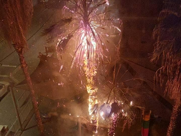 הצתת עץ דקל בגינת ילדים ברמלה