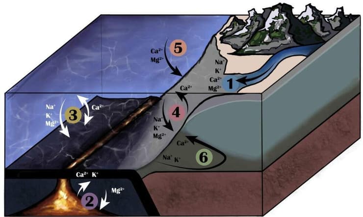איור המציג את התהליכים והמקורות המשפיעים על ההרכב הכימי של מי הים: נהרות (1), רכסים והרי געש בקרקעית האוקיינוס (2), תגובות כימיות בקרום האוקייני (3), תגובות כימיות בקרקעית הים (4), סלעי משקע (5) וזרימת מי ים אל האקוויפרים החופיים ובחזרה (6)