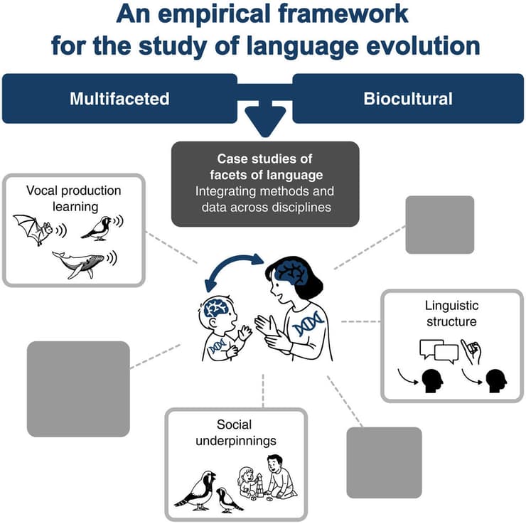המסגרת הרב-תחומית והביו-תרבותית עליה מושתת המחקר (איור: מתוך כתב העת Science) המסגרת הרב-תחומית והביו-תרבותית עליה מושתת המחקר
