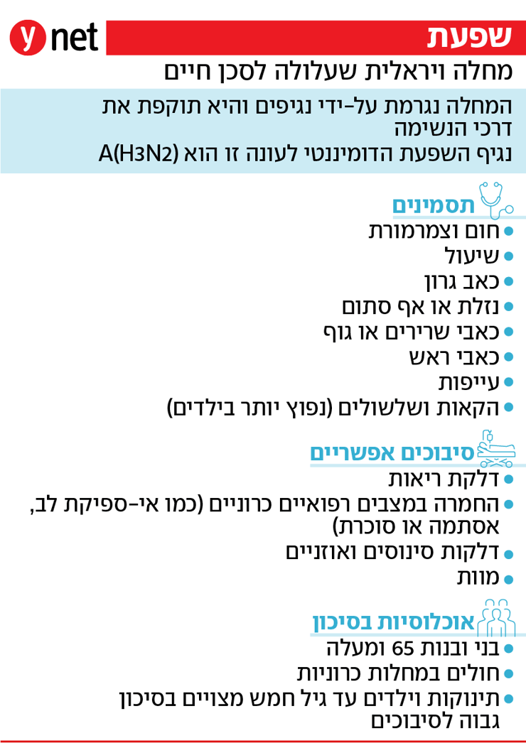 אינפו שפעת אינפו שפעת