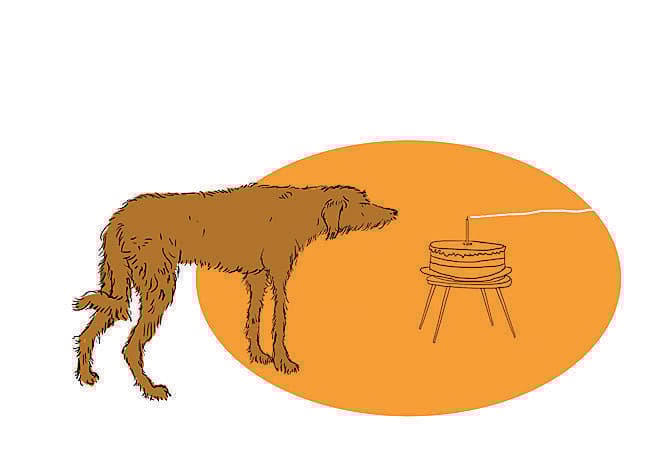 איור: יזהר כהן