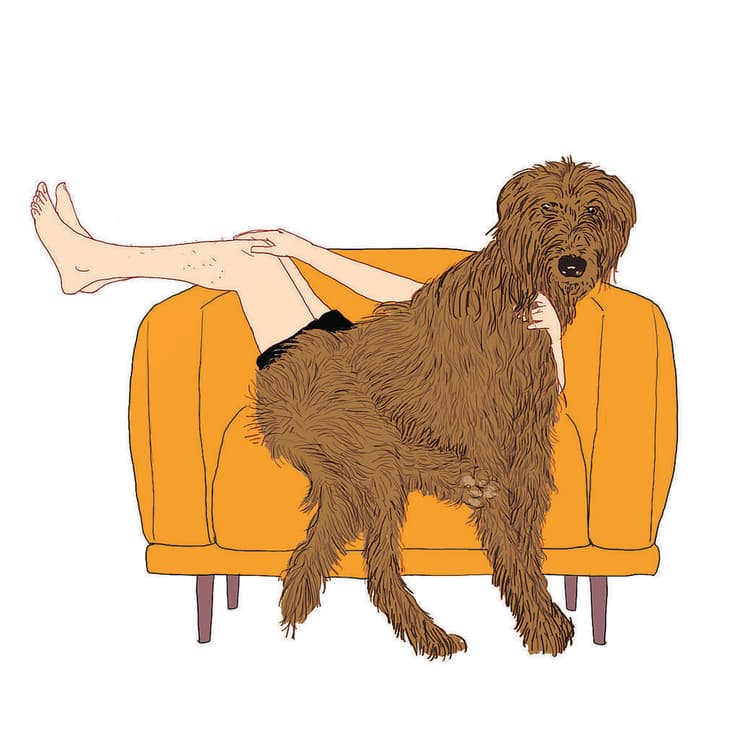 איור: יזהר כהן