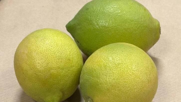 לימון סידלס