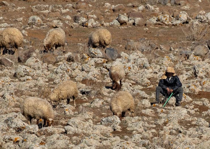 יאיר קראוס, בביקור בסוריה