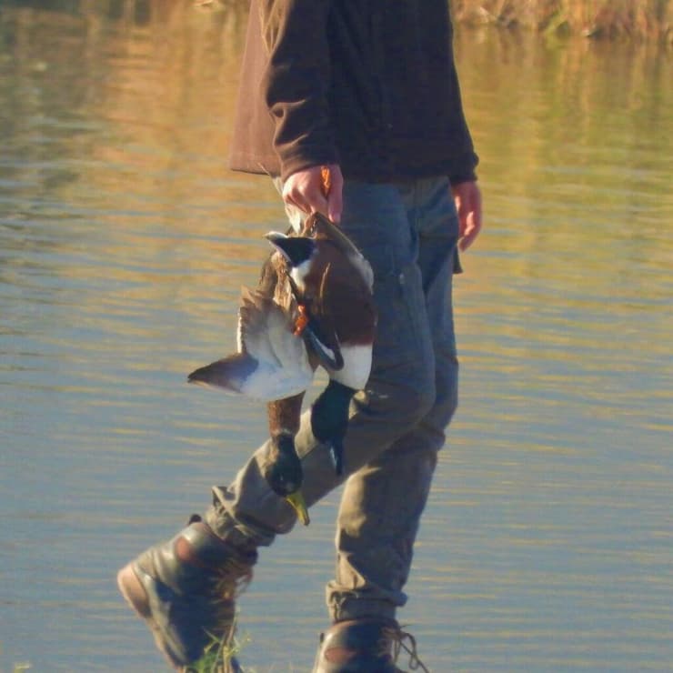 ציד בעמק חרוד