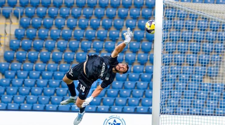 מרקו וולף נכנע