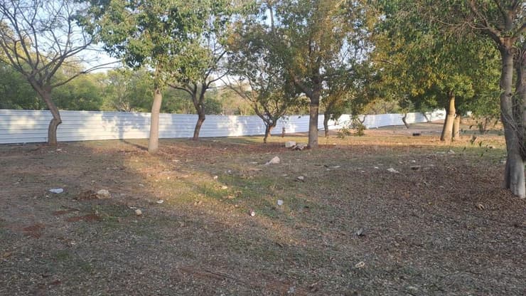 מתחם נס לגויים (צילום: שחר עילאי) מתחם נס לגויים