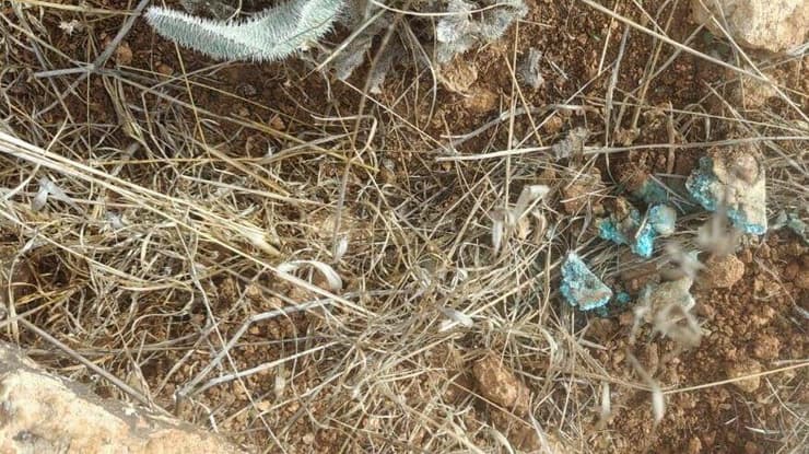 רעל נמצא במקום