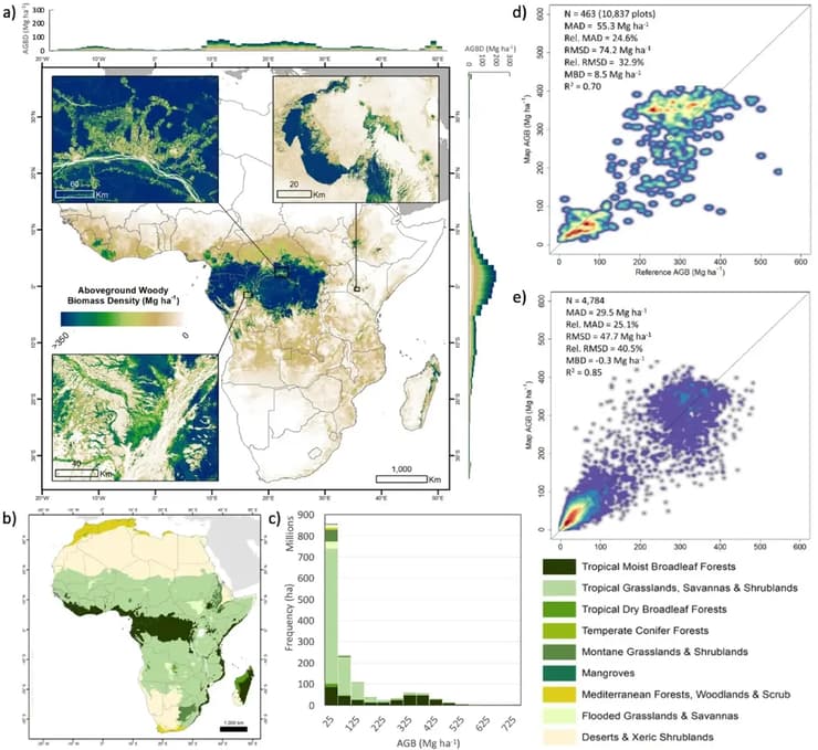 מיפוי הביומסה המיוערת ביבשת אפריקה (איור: מתוך כתב העת Scientific Reports) מיפוי הביומסה המיוערת ביבשת אפריקה