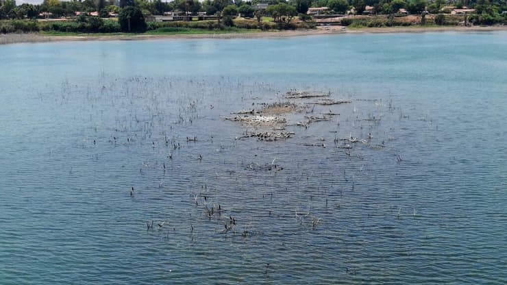 האי מול קיבוץ מעגן, 27.7.25