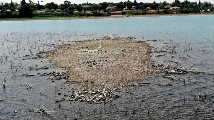 האי מול קיבוץ מעגן, 14.8.25