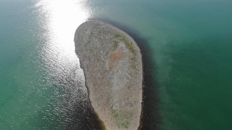 האי מול קיבוץ מעגן, 23.11.25