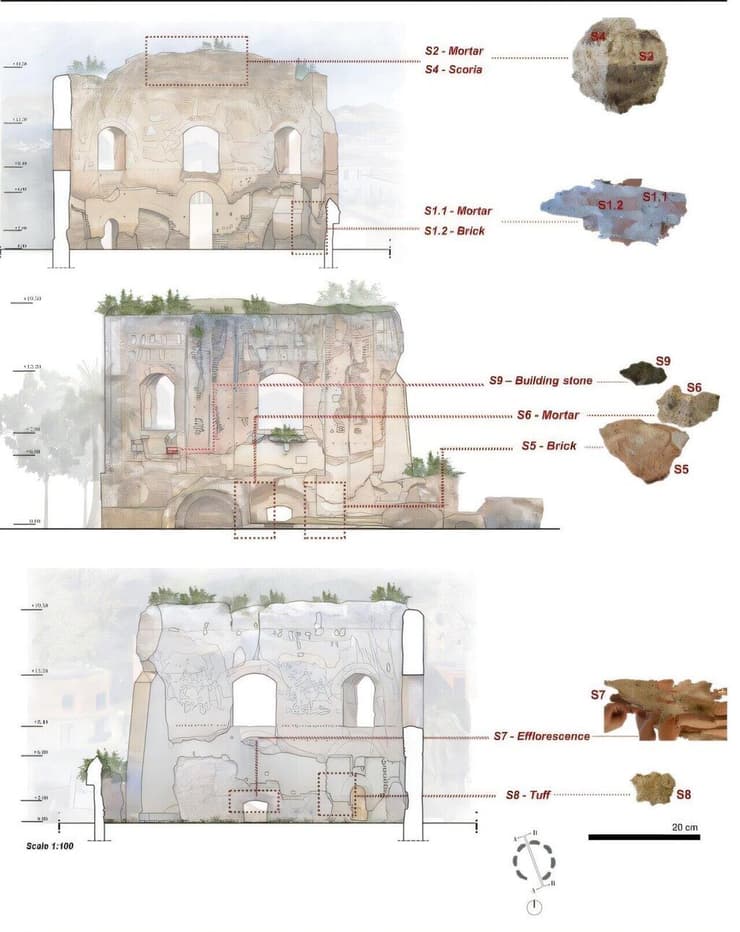 תרשים של הדגימות שנאספו ממקדש ונוס