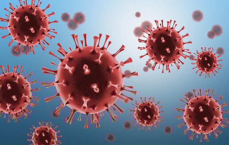 נגיף הקורונה. חיסוני ה-mRNA היו אחד הכלים החשובים בבלימת המגפה (צילום: shutterstock) נגיף הקורונה