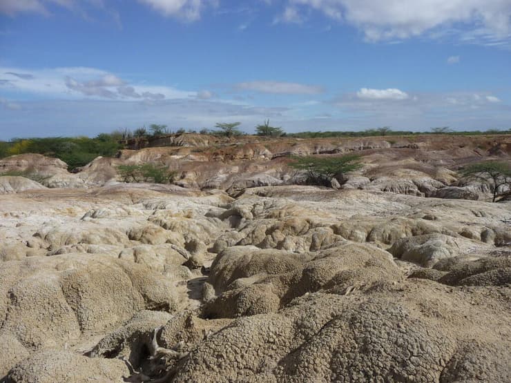 שטח המחקר במדינת פלקון שבוונצואלה