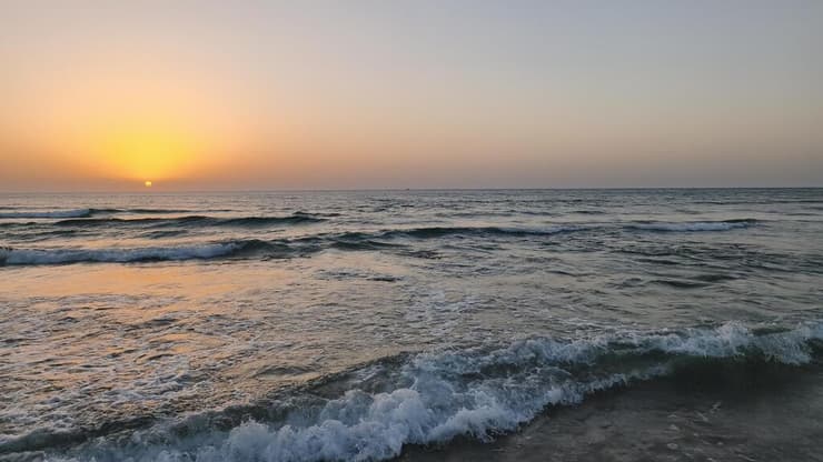 התמונות שהמכשיר יודע להפיק מרשימות למדי (רפאל קאהאן) שיאומי 15T פרו