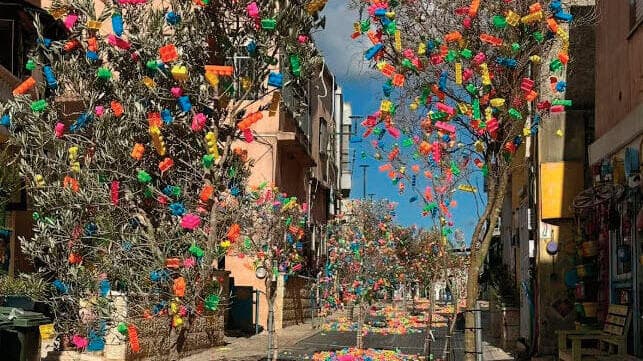 צילום: באדיבות המועצה המקומית דליית אל-כרמל