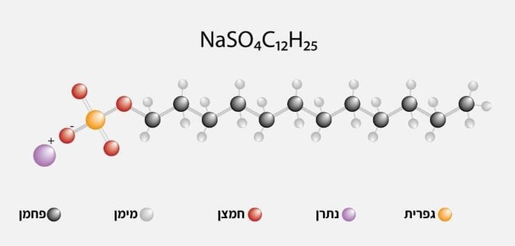 המבנה של מולקולת SLS, חומר נפוץ מאוד בתמרוקים ובחומרי ניקוי בימינו. 12 אטומי פחמן מחוברים בשרשרת לראש גופרתי טעון חשמלית במטען שלילי ומחובר ליון נתרן בעל מטען חיובי (איור: firatturgut, Shutterstock) המבנה של מולקולת SLS, חומר נפוץ מאוד בתמרוקים ובחומרי ניקוי בימינו. 12 אטומי פחמן מחוברים בשרשרת לראש גופרתי טעון חשמלית במטען שלילי ומחובר ליון נתרן בעל מטען חיובי