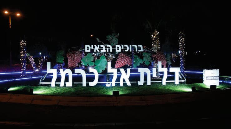 צילום: באדיבות המועצה המקומית דליית אל-כרמל