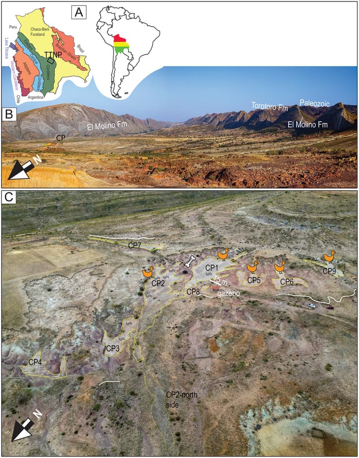 מיפוי המוקדים שבהם התגלו לאחרונה עקבות דינוזאורים בפארק הלאומי טורוטורו שבבוליביה (צילום: Esperante et al., PLOS One, 2025) מיפוי המוקדים שבהם התגלו לאחרונה עקבות דינוזאורים בפארק הלאומי טורוטורו שבבוליביה