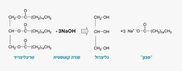 כשמחממים טריגליצרידים בנוכחות בסיס חזק, כמו סודה קאוסטית, מקבלים גליצרול ומולקולות של סבון: מלח שמורכב מחומצת שומן קשורה ליון כמו נתרן. הכימיה של ייצור סבון (איור: ד"ר אבי סאייג) כשמחממים טריגליצרידים בנוכחות בסיס חזק, כמו סודה קאוסטית, מקבלים גליצרול ומולקולות של סבון: מלח שמורכב מחומצת שומן קשורה ליון כמו נתרן. הכימיה של ייצור סבון