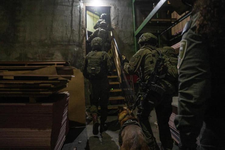 פעילות הכוחות בעיר קלקיליה