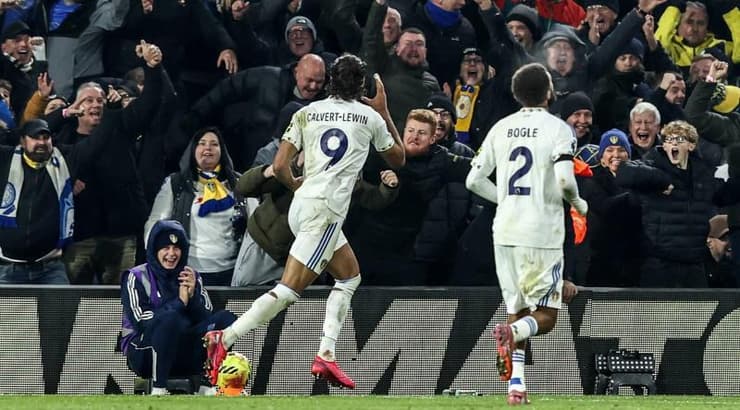 דומיניק קלברט לווין חוגג