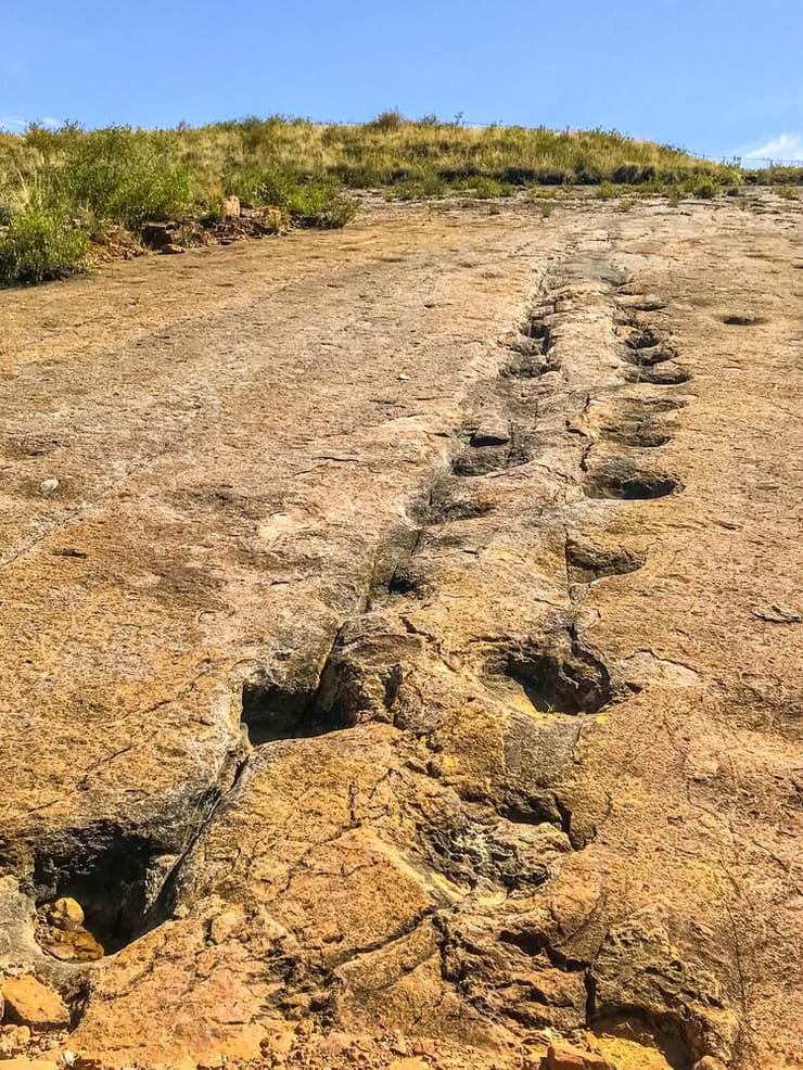 מסלול של עקבות דינוזאורים בפארק הלאומי טורוטורו בבוליביה (צילום: Alexandre Laprise/Shutterstock) מסלול של עקבות דינוזאורים בפארק הלאומי טורוטורו בבוליביה