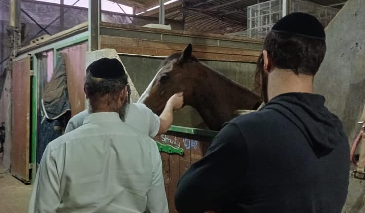 מתנדבי זק"א במהלך הטיפול הקבוצתי בחווה. "היו הראשונים לטפל בנו אחרי הזוועות שראינו ב-7 באוקטובר"    