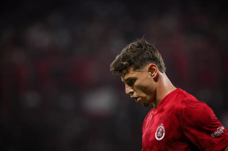 סתיו טוריאל