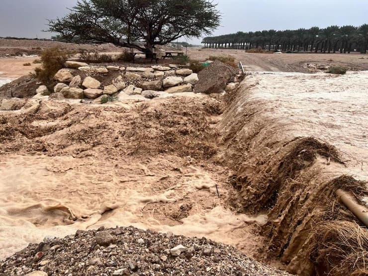 הזרימה בנחל עומר בערבה התיכונה (צילום: עפרי לב) נחל עומר בערבה התיכונה