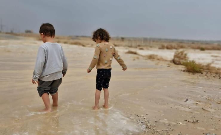 נחל שלהב, בערבה התיכונה