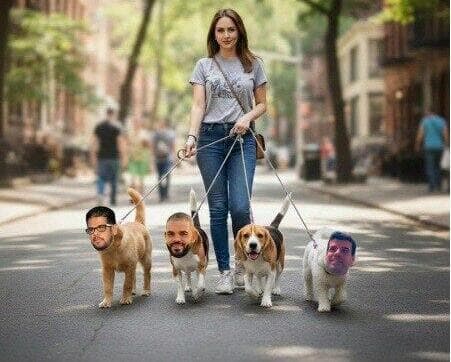 הדיל עוויס ופעילים נוספים בג'סור ניוז