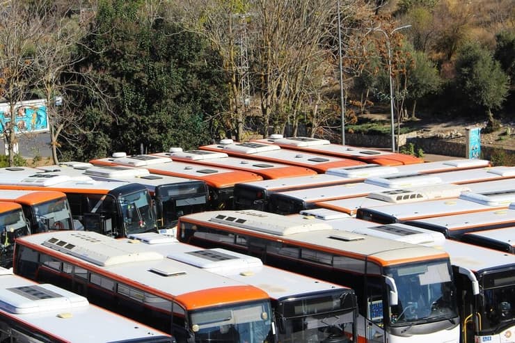 אוטובוסים בצפת