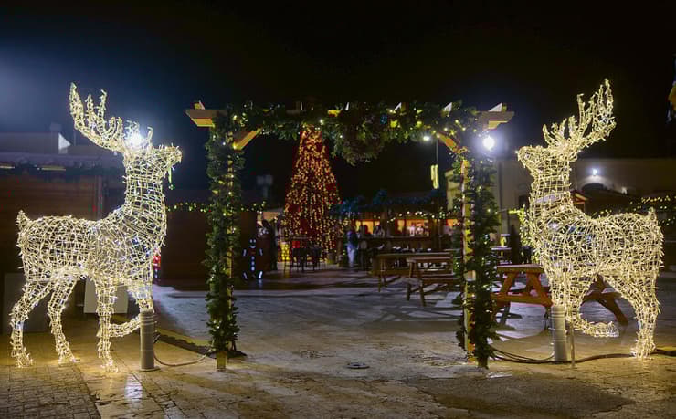 האיילים המוארים  מחכים לשלג