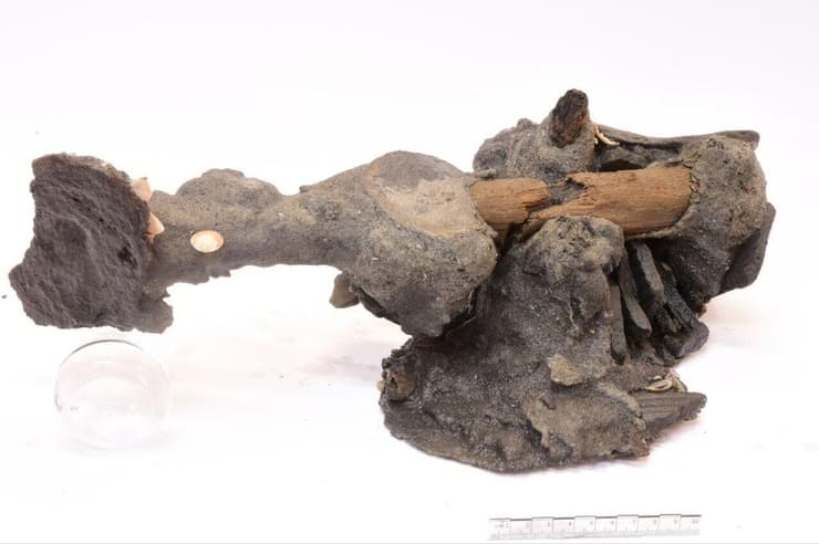 המפסלת הביזנטית לאחר הוצאה מהמים (צילום: י. גוטליב) המפסלת הביזנטית לאחר הוצאה מהמים